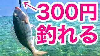 【沖縄釣り】激安スプーンと激安ミノーを投げてみた結果【沖縄ルアー】