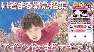 【まどマギ】アイランド秋葉原 8月8日の88台のまどマギは合計差枚－20万枚?!超やばいらしいので緊急来店実践!! 【 いそまるの成り上がり回胴録】[パチスロ][スロット]