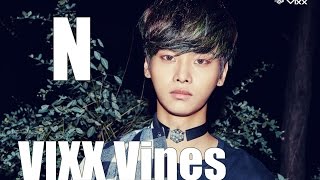 VIXX Vines - N