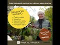 univerzální pomocník rostliny frass hnojivo zelenina bio ekologie organic domacnost žena