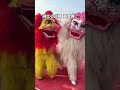 狮人最高礼仪 舞狮表演 你好创作者 podcast liondance 翻唱 抖音 dance