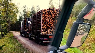 Heavy spruce logs loading \u0026 some reversing manoeuvers.