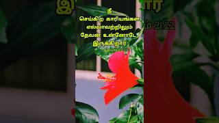 🔥 நீ செய்கிற காரியங்கள் எல்லாவற்றிலும் தேவன் உன்னோடே இருக்கிறார் 🌟 #short #short #shortvideo