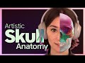 Artistic Anatomy of the Skull (Full Course)