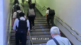 【横浜駅】相鉄線2・3番線（特急・急行）への行き方