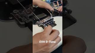 How to Drop tune with a Floyd Rose!