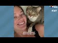 karen the feral cat demands snuggles from her mom the dodo cat crazy