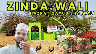 ZINDA WALI KI DARGAH SHARIF | HAZRAT GAYUB SHAH WALI R'A | ISLAMIC VLOG | जिंदा वली की दरगाह | ....