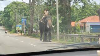 Shimoga-Mandagadde-Tirthahalli-Agumbe ghat-Udupi Scenic route | Malnad to Konkan