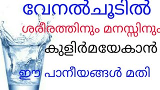 വേനൽ ചൂടിനെ പ്രതിരോധിക്കാൻ ഈ പാനീയങ്ങൾ മതിയാകും.|| How to Prevent Summer Heat