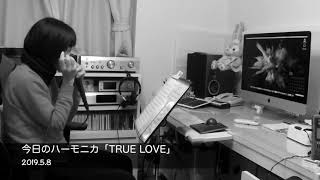 TRUE LOVE/藤井フミヤ 今日のハーモニカ