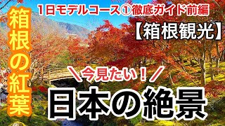 今見たい！日本の絶景🍁外国人が戻ってきた箱根観光【箱根旅行①前編】《紅葉の名所》箱根美術館、強羅公園、箱根登山鉄道！徹底ガイド