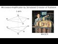 MASER explained using a 2-state Quantum System. Charles Townes.