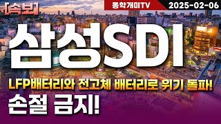 삼성SDI-LFP배터리와 전고체 배터리로 위기 돌파! 손절 금지!