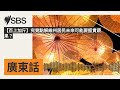 【百上加斤】究竟點解維州居民未來可能要捱貴蔬果？ sbs cantonese sbs廣東話節目