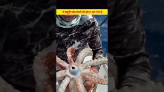ये समुद्री जीव पेप्सी की बोतल खा लेता है? #shorts #viral #amazingfacts #facts #giant #squid