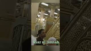 Live Riaz-Ul-Jannah| Madina Live| @Islamicworld5553 #islamicvideo #islamicstatus #islam #trending