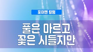 포이멘 칼럼 334회 - 풀은 마르고 꽃은 시들지만