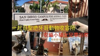 一起逛聖地牙哥動物收容所，收編小貓女兒帶回家