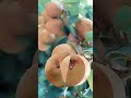 another trending fruits asmr viral trends satisfying shorts miss betyvergara