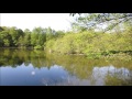 【練馬大好き！】石神井公園2017春 三宝寺池周囲散策