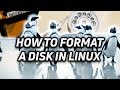 How to Partition and Format a Disk in Linux