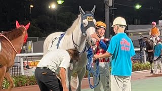 【ゴールドシップ産駒】スペースシップ「藤田凌騎手になでられちゃった😛」ﾁﾗｯ