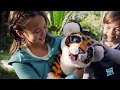 Toyworld NZ - FurReal Friends Tyler The Playful Tiger