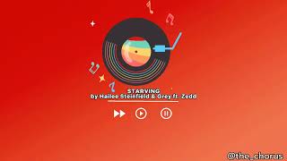Starving Chorus with Song Lyrics | Hailee Steinfield & Grey ft. Zedd