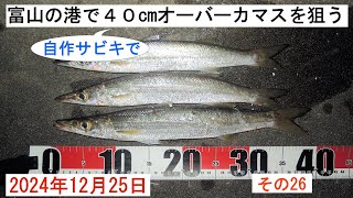 2024年12月25日 富山の港で自作サビキで40cmオーバーカマスを狙う その26 惜しい