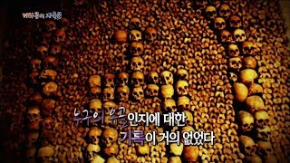 [서프라이즈] 해골로 둘러싸인 프랑스의 '카타콤'! 이곳에 지옥으로 통하는 문이 있다?