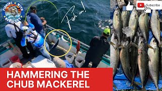 VIKING STARSHIP//FISHING CHUB MACKEREL AT BLOCK ISLAND OFF MONTAUK, LONG ISLAND, NEW YORK USA