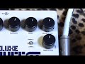 electro harmonix sovtek deluxe big muff pi demoed with humbuckers