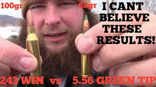 5.56 Nato Green Tips VS .243 Win! Penetration test! which round is best