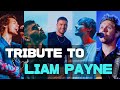 Tribute Mashup to Liam Payne (1993-2024) by Jungle Sue