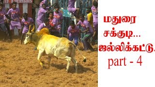 மதுரை சக்குடி ஜல்லிக்கட்டு part 4 | madurai sakkudi jallikattu part 4 | 2019