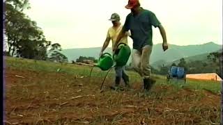 Agricultura Orgânica