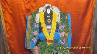 ஸ்ரீ நவநீதகிருஷ்ணன் கோவில் | புரட்டாசி மாத அபிஷேகம் | அருப்புக்கோட்டை | திருக்கோவில் தரிசனம் | APK |