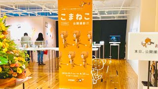 こまねこ公開撮影展 メイキングムービー