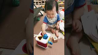 型はめ遊びが出来るようになったけど最後はそれやると思ってた#shorts#赤ちゃん#baby