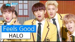 [HOT] HALO - Feel So Good, 헤일로 - 느낌이 좋아, Show Music core 20160116