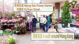 AwalkaroundHK-Mong Kok Flower Market，Fa Yuen Street Market Stalls,Hong Kong[4k] 漫遊香港-旺角花墟及花園街排檔