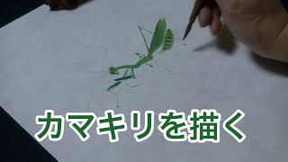 【昆虫の描き方】カマキリを描く。How to draw insects