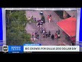 crowds flock to dollar day at the dallas zoo