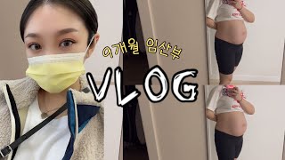 [ 임산부 VLOG ] 33주,34주차 임산부 일상 | 34주 배크기 | 일상브이로그