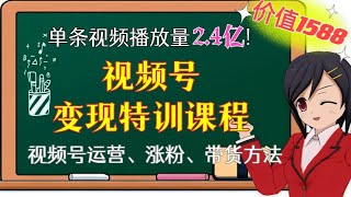 【全系列网赚教程】单视频播放量2.4亿+3个月涨粉30w+变现20w+！视频号变现特训课程，详细讲解视频号运营、涨粉、带货方法！2022最新网赚项目