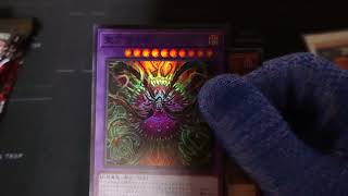 (遊戯王OCG) 新パック、スプリーム・ダークネス開封して行くぞ！#遊戯王 #yugioh #ocg #遊戯王ocg