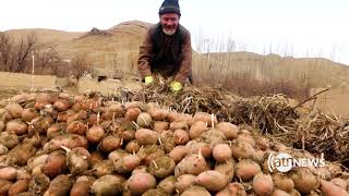 مستند بامیان سرزمین شگفتی و عشق - پنجشنبه شب از آریانانیوز