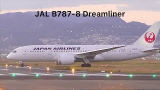 日本一美しい空港夜景！千里川土手…　＃伊丹空港　＃千里川土手　＃JAL　＃ANA　＃飛行機　＃大阪国際空港