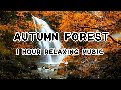 1 Hour Relaxing Piano Music | Nature Sounds - Stress Relief, Deep Sleep ...